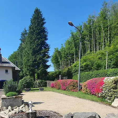 L'ecrin Du - L'ortencia Mazamet